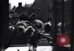 Image drapeaux nazis affichée partout Allemagne, 1934, de la seconde 40 séquences d'archives historiques vidéo 65675038562