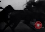 Immagine di Adolf Hitler al 1934 Nazi congresso di partito Nürnberg Germania, 1934, secondo 24 filmato di repertorio 65675038569