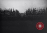 Immagine di Zeppelinfeld cerimonia del fiaccolata nazista Nürnberg Germania, 1934, secondo 18 filmato di repertorio 65675038570