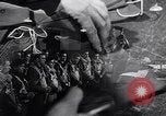 Image of United States B-24 bombers England United Kingdom, 1943, second 23 stock footage video 65675038599
