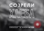 Standbild Ernte Krim Ukraine, 1949, aus Sekunde 26 historischem Filmmaterial Videoclip 65675038600
