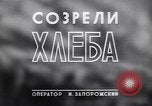 Standbild Ernte Krim Ukraine, 1949, aus Sekunde 27 historischem Filmmaterial Videoclip 65675038600