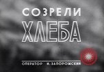Standbild Ernte Krim Ukraine, 1949, aus Sekunde 28 historischem Filmmaterial Videoclip 65675038600