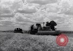 Standbild Ernte Krim Ukraine, 1949, aus Sekunde 34 historischem Filmmaterial Videoclip 65675038600