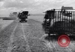 Standbild Ernte Krim Ukraine, 1949, aus Sekunde 43 historischem Filmmaterial Videoclip 65675038600