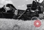 Standbild Ernte Krim Ukraine, 1949, aus Sekunde 46 historischem Filmmaterial Videoclip 65675038600