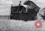 Standbild Ernte Krim Ukraine, 1949, aus Sekunde 49 historischem Filmmaterial Videoclip 65675038600