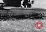 Standbild Ernte Krim Ukraine, 1949, aus Sekunde 58 historischem Filmmaterial Videoclip 65675038600