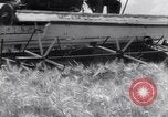Standbild Ernte Krim Ukraine, 1949, aus Sekunde 59 historischem Filmmaterial Videoclip 65675038600