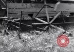 Standbild Ernte Krim Ukraine, 1949, aus Sekunde 61 historischem Filmmaterial Videoclip 65675038600