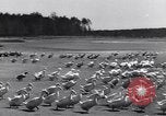 Standbild Schwarm Enten Usbekistan Sowjetunion, 1949, aus Sekunde 10 historischem Filmmaterial Videoclip 65675038603