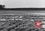 Standbild Schwarm Enten Usbekistan Sowjetunion, 1949, aus Sekunde 11 historischem Filmmaterial Videoclip 65675038603