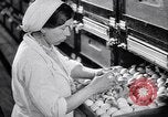 Standbild Schwarm Enten Usbekistan Sowjetunion, 1949, aus Sekunde 35 historischem Filmmaterial Videoclip 65675038603