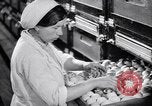 Standbild Schwarm Enten Usbekistan Sowjetunion, 1949, aus Sekunde 36 historischem Filmmaterial Videoclip 65675038603