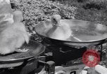 Standbild Schwarm Enten Usbekistan Sowjetunion, 1949, aus Sekunde 54 historischem Filmmaterial Videoclip 65675038603