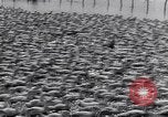 Standbild Schwarm Enten Usbekistan Sowjetunion, 1949, aus Sekunde 60 historischem Filmmaterial Videoclip 65675038603