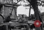 Standbild Wiederaufbau von Dörfern Sowjetunion, 1949, aus Sekunde 18 historischem Filmmaterial Videoclip 65675038608