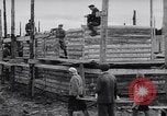 Standbild Wiederaufbau von Dörfern Sowjetunion, 1949, aus Sekunde 25 historischem Filmmaterial Videoclip 65675038608