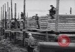 Standbild Wiederaufbau von Dörfern Sowjetunion, 1949, aus Sekunde 26 historischem Filmmaterial Videoclip 65675038608