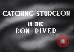 Standbild Stör Fisch Sowjetunion, 1949, aus Sekunde 4 historischem Filmmaterial Videoclip 65675038610