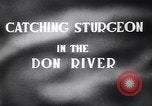 Standbild Stör Fisch Sowjetunion, 1949, aus Sekunde 5 historischem Filmmaterial Videoclip 65675038610