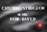 Standbild Stör Fisch Sowjetunion, 1949, aus Sekunde 6 historischem Filmmaterial Videoclip 65675038610
