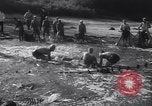Standbild Stör Fisch Sowjetunion, 1949, aus Sekunde 18 historischem Filmmaterial Videoclip 65675038610