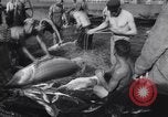Standbild Stör Fisch Sowjetunion, 1949, aus Sekunde 19 historischem Filmmaterial Videoclip 65675038610