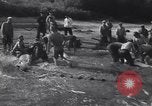 Standbild Stör Fisch Sowjetunion, 1949, aus Sekunde 23 historischem Filmmaterial Videoclip 65675038610