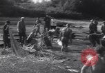 Standbild Stör Fisch Sowjetunion, 1949, aus Sekunde 25 historischem Filmmaterial Videoclip 65675038610