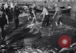 Standbild Stör Fisch Sowjetunion, 1949, aus Sekunde 26 historischem Filmmaterial Videoclip 65675038610