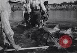 Standbild Stör Fisch Sowjetunion, 1949, aus Sekunde 32 historischem Filmmaterial Videoclip 65675038610