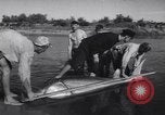 Standbild Stör Fisch Sowjetunion, 1949, aus Sekunde 36 historischem Filmmaterial Videoclip 65675038610