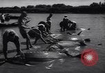 Standbild Stör Fisch Sowjetunion, 1949, aus Sekunde 39 historischem Filmmaterial Videoclip 65675038610