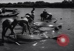 Standbild Stör Fisch Sowjetunion, 1949, aus Sekunde 40 historischem Filmmaterial Videoclip 65675038610