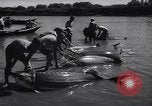Standbild Stör Fisch Sowjetunion, 1949, aus Sekunde 41 historischem Filmmaterial Videoclip 65675038610