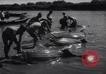 Standbild Stör Fisch Sowjetunion, 1949, aus Sekunde 42 historischem Filmmaterial Videoclip 65675038610