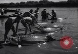 Standbild Stör Fisch Sowjetunion, 1949, aus Sekunde 43 historischem Filmmaterial Videoclip 65675038610