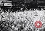 Standbild Die sowjetischen Menschen ernten und Dreschen von Weizen mit Maschinen Ukraine Sowjetunion, 1941, aus Sekunde 26 historischem Filmmaterial Videoclip 65675038615