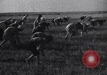 Standbild Die sowjetischen Menschen ernten und Dreschen von Weizen mit Maschinen Ukraine Sowjetunion, 1941, aus Sekunde 33 historischem Filmmaterial Videoclip 65675038615