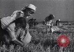Standbild Die sowjetischen Menschen ernten und Dreschen von Weizen mit Maschinen Ukraine Sowjetunion, 1941, aus Sekunde 35 historischem Filmmaterial Videoclip 65675038615