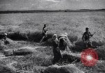 Standbild Die sowjetischen Menschen ernten und Dreschen von Weizen mit Maschinen Ukraine Sowjetunion, 1941, aus Sekunde 44 historischem Filmmaterial Videoclip 65675038615