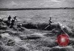 Standbild Die sowjetischen Menschen ernten und Dreschen von Weizen mit Maschinen Ukraine Sowjetunion, 1941, aus Sekunde 45 historischem Filmmaterial Videoclip 65675038615