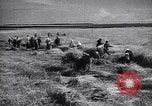 Standbild Die sowjetischen Menschen ernten und Dreschen von Weizen mit Maschinen Ukraine Sowjetunion, 1941, aus Sekunde 47 historischem Filmmaterial Videoclip 65675038615