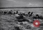 Standbild Die sowjetischen Menschen ernten und Dreschen von Weizen mit Maschinen Ukraine Sowjetunion, 1941, aus Sekunde 48 historischem Filmmaterial Videoclip 65675038615