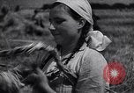 Standbild Die sowjetischen Menschen ernten und Dreschen von Weizen mit Maschinen Ukraine Sowjetunion, 1941, aus Sekunde 49 historischem Filmmaterial Videoclip 65675038615