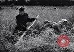 Standbild Die sowjetischen Menschen ernten und Dreschen von Weizen mit Maschinen Ukraine Sowjetunion, 1941, aus Sekunde 53 historischem Filmmaterial Videoclip 65675038615