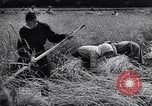 Standbild Die sowjetischen Menschen ernten und Dreschen von Weizen mit Maschinen Ukraine Sowjetunion, 1941, aus Sekunde 55 historischem Filmmaterial Videoclip 65675038615