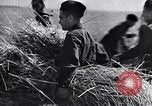Standbild Die sowjetischen Menschen ernten und Dreschen von Weizen mit Maschinen Ukraine Sowjetunion, 1941, aus Sekunde 59 historischem Filmmaterial Videoclip 65675038615