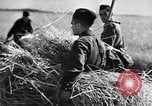 Standbild Die sowjetischen Menschen ernten und Dreschen von Weizen mit Maschinen Ukraine Sowjetunion, 1941, aus Sekunde 60 historischem Filmmaterial Videoclip 65675038615